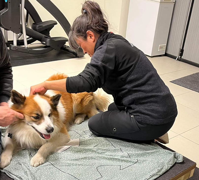 Hvad er Kranio Sakral Terapi?